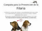 Filariose-Vorsorgekampage Filariose-Vorsorgekampage