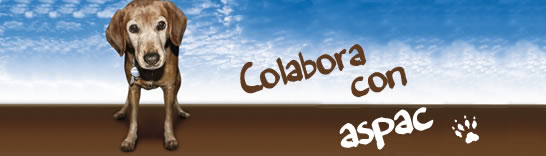 Colabora con ASPAC Colabora con ASPAC