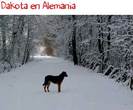 Dakota en Alemania Dakota en Alemania