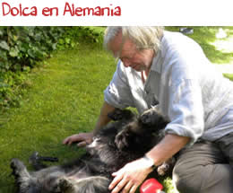 Dolca en Alemania Dolca en Alemania