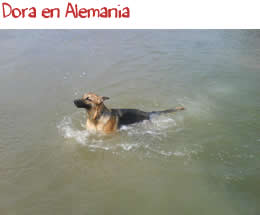 Dora en Alemania Dora en Alemania