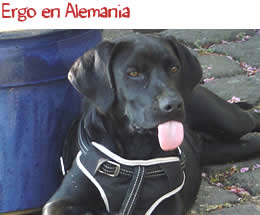 Ergo en Alemania Ergo en Alemania