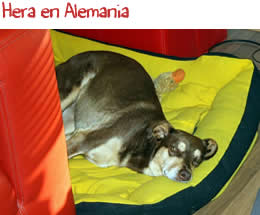 Hera en Alemania Hera en Alemania