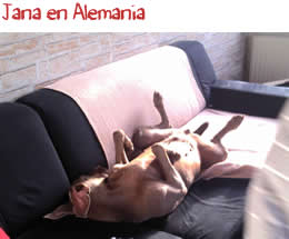 Jana en Alemania Jana en Alemania