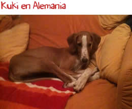 Kuki en Alemania Kuki en Alemania