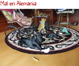 Mal en Alemania Mal en Alemania