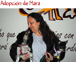 Adopción de Mara Adopción de Mara