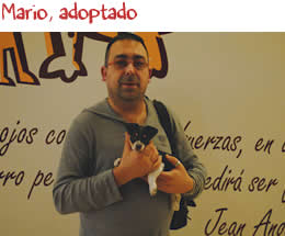 Mario, adoptado Mario, adoptado