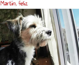 Martín, feliz Martín, feliz