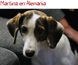 Martina en Alemania Martina en Alemania