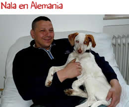 Nala en Alemania Nala en Alemania