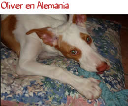 Oliver en Alemania Oliver en Alemania