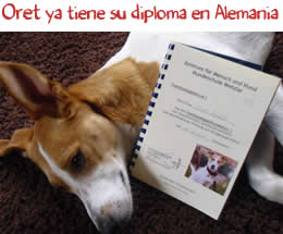 Oret ya tiene su diploma en Alemania