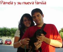 Pamela y su nueva familia Pamela y su nueva familia