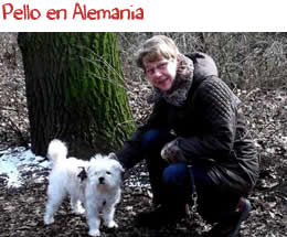 Pello en Alemania Pello en Alemania
