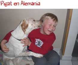 Pigat en Alemania Pigat en Alemania