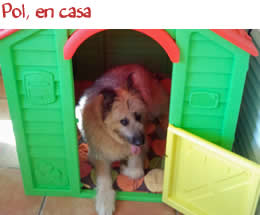 Pol, en casa Pol, en casa