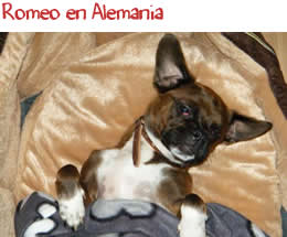 Romeo en Alemania Romeo en Alemania