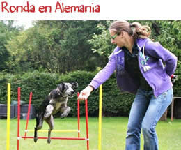Ronda en Alemania Ronda en Alemania