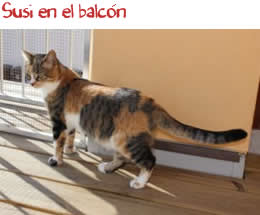 Susi en el balcón Susi en el balcón