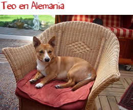 Teo en Alemania Teo en Alemania