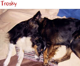 Trosky Trosky