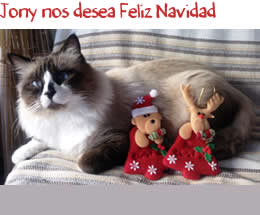 Jony nos desea Feliz Navidad