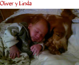 Oliver y Linda Oliver y Linda