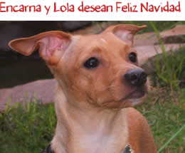 Encarna y Lola nos desean Feliz Navidad Encarna y Lola nos desean Feliz Navidad