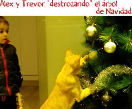 Álex y Trevor "destrozando" el 
					árbol de Navidad