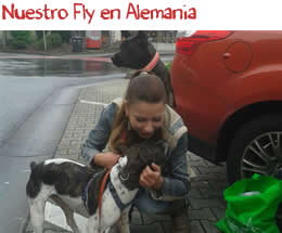 Nuestro Fly en Alemania