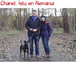 Chanel, feliz en Alemania Chanel, feliz en Alemania