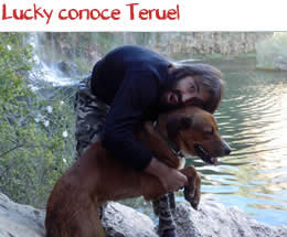 Lucky conoce Teruel Lucky conoce Teruel