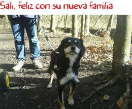 Sali, feliz con su nueva familia Sali, feliz con su nueva familia
