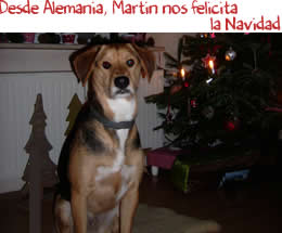 Desde Alemania, Martin nos felicita la Navidad