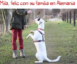 Mila, feliz con su familia en Alemania Mila, feliz con su familia en Alemania