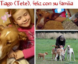 Tiago (antes Tete), feliz con su nueva familia Tiago (antes Tete), feliz con su nueva familia