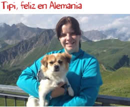 Tipi, feliz en Alemania Tipi, feliz en Alemania