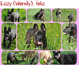 Lizzy (Wendy), feliz Lizzy (Wendy), feliz