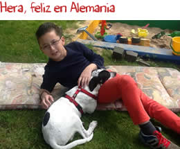 Hera, feliz en Alemania Hera, feliz en Alemania