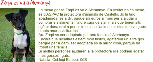 Zarpi se va a Alemania Zarpi se va a Alemania