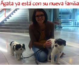 Ágata ya está con su nueva familia Ágata ya está con su nueva familia