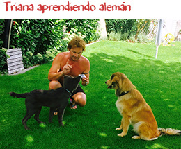 Triana adoptada en Alemania Triana adoptada en Alemania