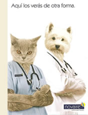 Terapia con mascotas en el Centro NOVAIRE de Vila-real