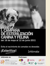 I.Campaña de esterilización canina y felina