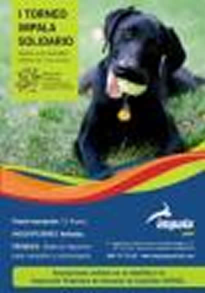 Torneo benéfico Impala a favor de ASPAC Torneo benéfico Impala a favor de ASPAC