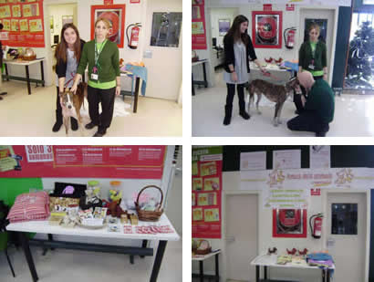 Gran Fiesta de la casa en LEROY MERLIN Gran Fiesta de la casa en LEROY MERLIN