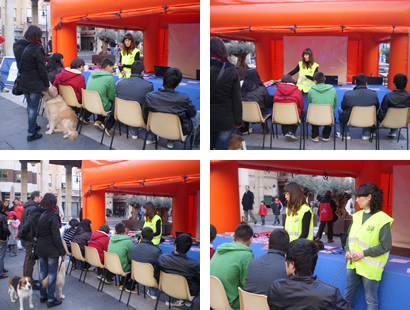 Distrito Joven Distrito Joven