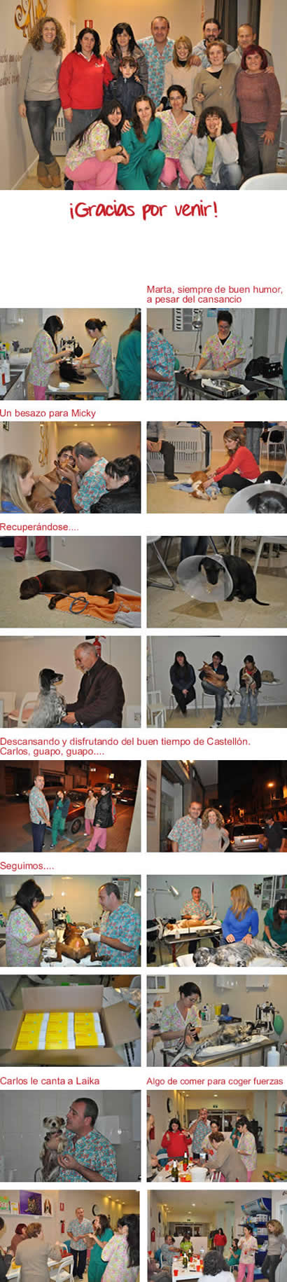 Mascoteros Solidarios y ASPAC Mascoteros Solidarios y ASPAC
