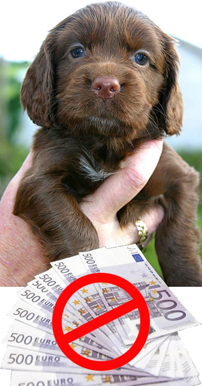 Campaña contra la cría y venta ilegal de animales Campaña contra la cría y venta ilegal de animales